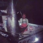 Profile Picture of tom putrino (@tomputrino) on Instagram