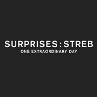 Profile Picture of Surprises: STREB (@SurprisesSTREB) on Twitter