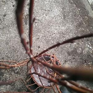 Profile Picture of Evan Draper (@draper_evan) on Twitter