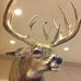 Profile Picture of Danny Hayes (@danny.hayes.5454) on Facebook
