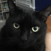 Sam Fidler - Youtube Profile Picture of Sam Fidler (@samfidler2933) on Youtube