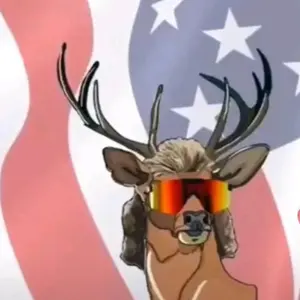 Profile Picture of Mark W Stelter (@markwstelter) on Tiktok