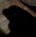 Profile Picture of James Badillo (@james.badillo.18400) on Facebook