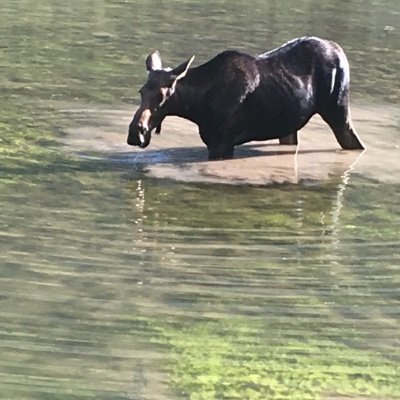 Profile Picture of Kyle Timmerman (@KyleTimmerman8) on Twitter