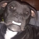 Profile Picture of Marcus koutz (@crim_dawn) on Instagram