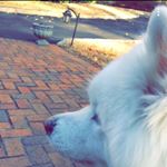 Profile Picture of nicholas (@nicholas.fortner) on Instagram