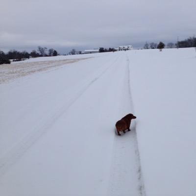 Profile Picture of Blinky (@BillGoad2) on Twitter