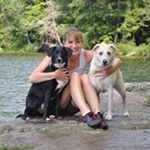 Profile Picture of Lori Kramer (@kramer1105) on Instagram