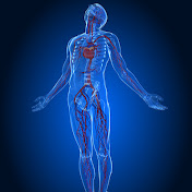 Profile Picture of Troy Shaffer (@troyshaffer6016) on Youtube