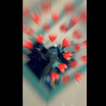 Profile Picture of 💎❣️𝓡𝓾𝓫𝔂 𝓐𝓰𝓾𝓲𝓵𝓮𝓻𝓪❣️💎 (@rubyaguilera15) on Instagram