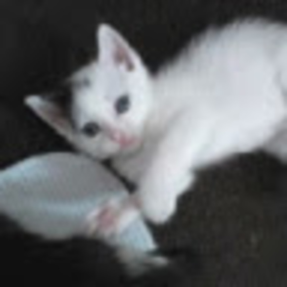 Profile Picture of Clara Gonzalez (@claragonzale142) on Poshmark