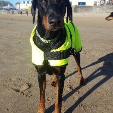 Profile Picture of Lucy Humphrey (@LucyHum74757666) on Twitter