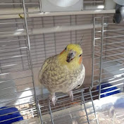 Profile Picture of Jose Maria Sande Diaz (@josemariasandediaz4619) on Youtube