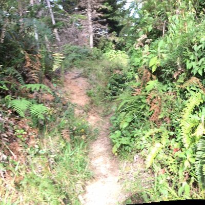 Profile Picture of Jorge Mirabal (@JorgeMirabal14) on Twitter