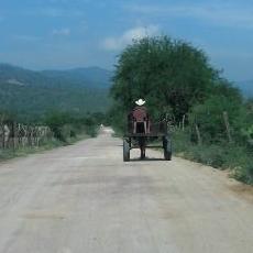 Profile Picture of Zeferino Ramirez (@ramirezzefe) on Twitter