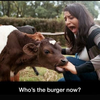 Profile Picture of Darcey Hayes (@weaselh2003) on Twitter