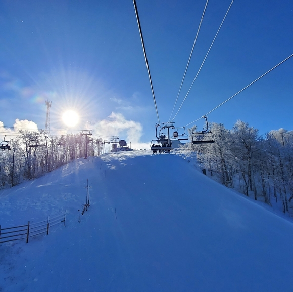 Profile Picture of Luc Chagnon (@luc77cha) on Poshmark