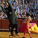 Profile Picture of El matador (@simone.palladino.5) on Instagram