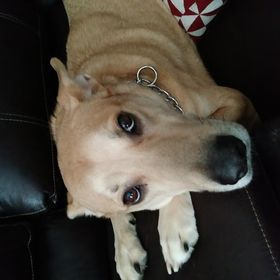 Profile Picture of Lucas Fontenot (@fontenotlucas8) on Pinterest