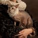 Profile Picture of Iris McPherson (@mnstergrrrl) on Pinterest