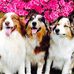 Profile Picture of Jimmie Huckabee (@Jimmie-Huckabee) on Facebook