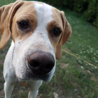 Profile Picture of András Árvai (@andras.arvai.10) on Facebook