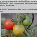 Profile Picture of Watson G Foster (@Watson-G-Foster) on Facebook