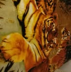 Profile Picture of Rudy Borrego (@rudy.borrego.37) on Facebook