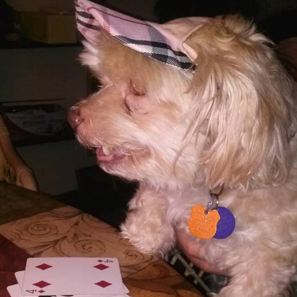 Profile Picture of Bobbi Whitlock (@bobbi_whitlock) on Poshmark