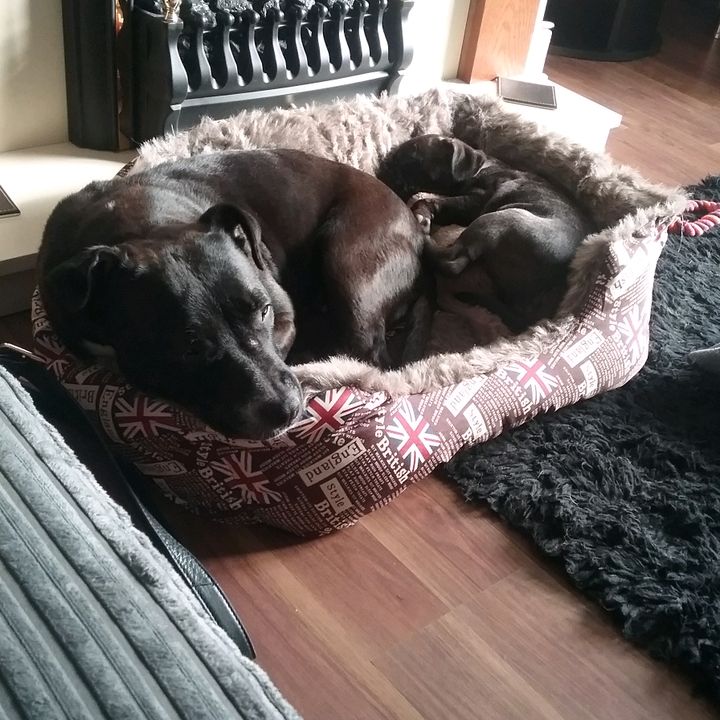 Mandy Callaghan - Tiktok Profile Picture of Mandy Callaghan (@mandycallaghan0) on Tiktok