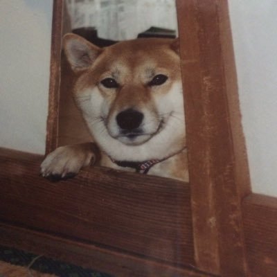 Profile Picture of Agathy (@agathethe) on Twitter