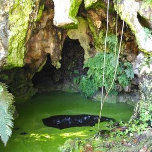 Julia Tejeda Alonso - Twitter Profile Picture of Julia Tejeda Alonso (@tejedacandado) on Twitter