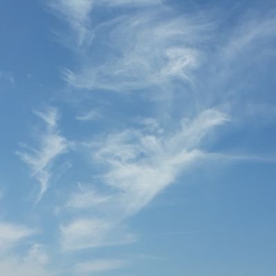 Profile Picture of Tracie Murphy (@TracieM92216904) on Twitter
