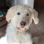 Profile Picture of Lucas (@lucas_wheeler_) on Instagram