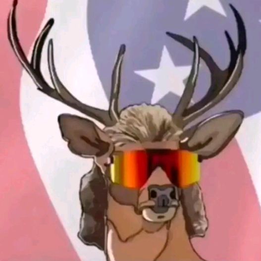 Profile Picture of Mark Fuller (@@markfuller59) on Tiktok