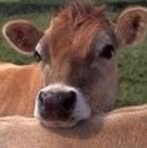 Alan Bigler - Facebook Profile Picture of Alan Bigler (@Alan-Bigler) on Facebook