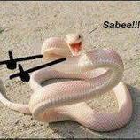 Profile Picture of Javier Rogel (@rogel_javier_20) on Twitter