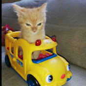 Profile Picture of Ivan Giron (@PanaXD-b8x) on Youtube