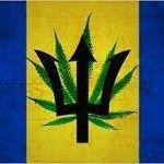 Profile Picture of Dwayne Corbin (@bajanblackmarket) on Instagram