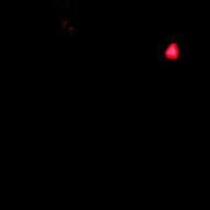 Profile Picture of Jose Armengol Sanche (@jose43wakamera) on Twitter