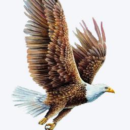 Profile Picture of Sami Ebrahim (@samii6plus) on Twitter