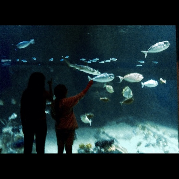 Profile Picture of Arely Ayala (@are1yayala5) on Poshmark