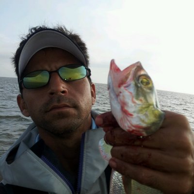 Profile Picture of PATRICK WILLEY (@swimmerncaa) on Twitter
