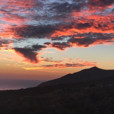 Profile Picture of Sam Mullis (@SamCabo) on Twitter
