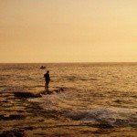 Profile Picture of Toya (@howellbl71) on Instagram