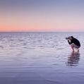 Profile Picture of James Field (@jamesfield) on Pinterest