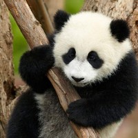 Profile Picture of Lucia Cabello (@lucia-cabello-2) on Quora