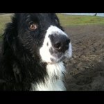 Profile Picture of George Scharf (@greygusset) on Instagram