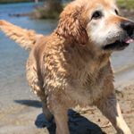 Profile Picture of Glenn Nelson (@glennnelson94) on Instagram