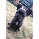 Profile Picture of James wass (@wass_james) on Instagram